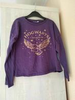 shirt lange mouwen Hogwarts maat 134, Kinderen en Baby's, Kinderkleding | Maat 134, Meisje, H&M, Ophalen of Verzenden, Zo goed als nieuw
