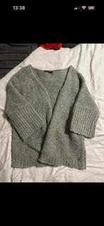 River Woods Vest L, Kleding | Dames, River Woods, Maat 42/44 (L), Ophalen of Verzenden, Grijs