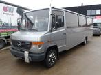 Mercedes Vario 813 personenvervoer (759), Auto's, 4250 cc, Mercedes-Benz, Euro 4, Zilver of Grijs