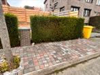 Fence tree, Tuin en Terras, Ophalen, Zo goed als nieuw