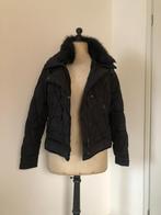 Dames Winterjas, Ophalen of Verzenden, Gedragen, Maat 38/40 (M), Zwart