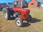 david brown 880 implematic, Zakelijke goederen, Tot 2500, Oldtimer, Tot 80 Pk, Ophalen