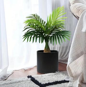 Faux palmier décoratif – Mini plante tropicale artificielle beschikbaar voor biedingen