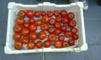 bio tomaten, Tuin en Terras, Ophalen of Verzenden