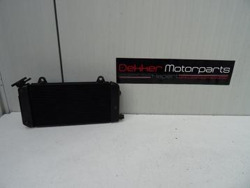 Radiateur / Radiator Yamaha Tenere 1200 2010-2011-2012-2019 beschikbaar voor biedingen
