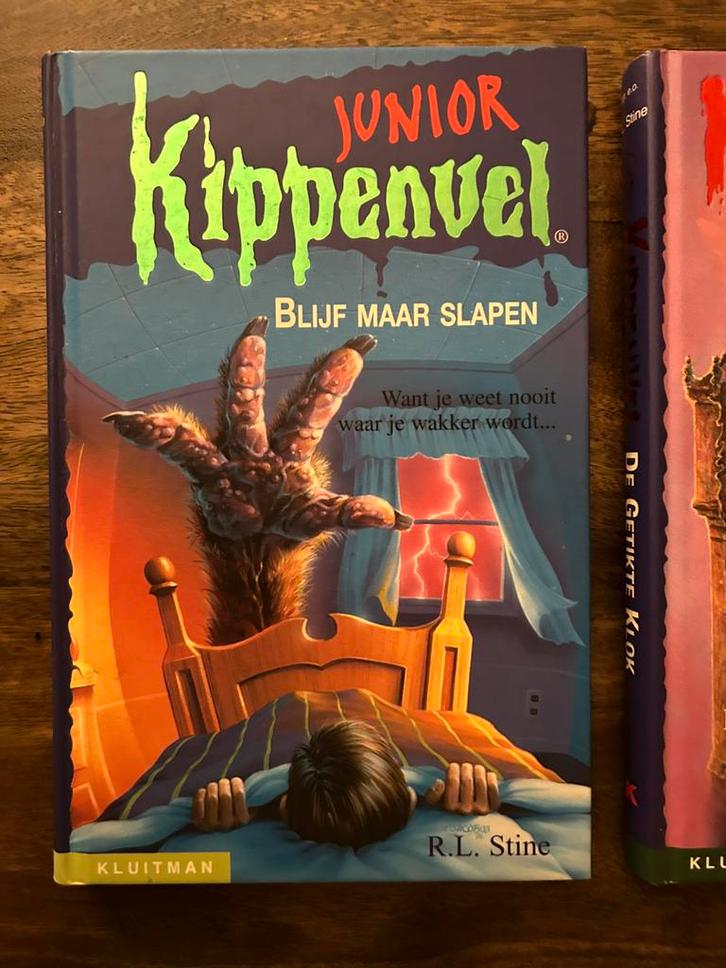 R.L. Stine - Blijf maar slapen, Livres, Livres pour enfants | Jeunesse | Moins de 10 ans, Enlèvement ou Envoi