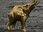 olifant, interieur, Huis en Inrichting, Woonaccessoires | Wanddecoraties, Ophalen of Verzenden, Nieuw