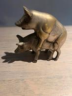 Koppel varkens in koper, Ophalen, Koper