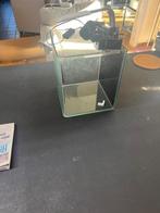 klein aquarium, Ophalen of Verzenden, Zo goed als nieuw, Leeg aquarium