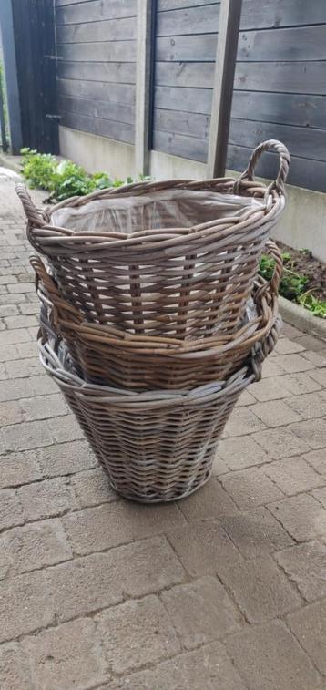 3 manden riet  5€ voor de drie beschikbaar voor biedingen