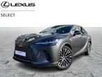 Lexus RX 450H Executive Line, Auto's, Lexus, Te koop, Zilver of Grijs, 5 deurs, SUV of Terreinwagen