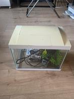 Visbakje met gerief, Tuin en Terras, Ophalen