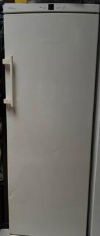 Vriezer leibherr, Elektronische apparatuur, Vriezers en Diepvrieskisten, Gebruikt, 140 tot 160 cm, Ophalen, Vrieskast