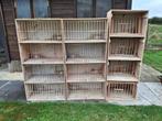 Duiven nest bakken, Dieren en Toebehoren, Vogels | Duiven, Meerdere dieren, Postduif