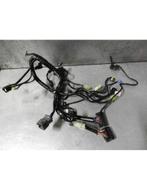 1190 Adventure (R) 2013 - 2016 KTM Kabelboom D1-43186, Motoren