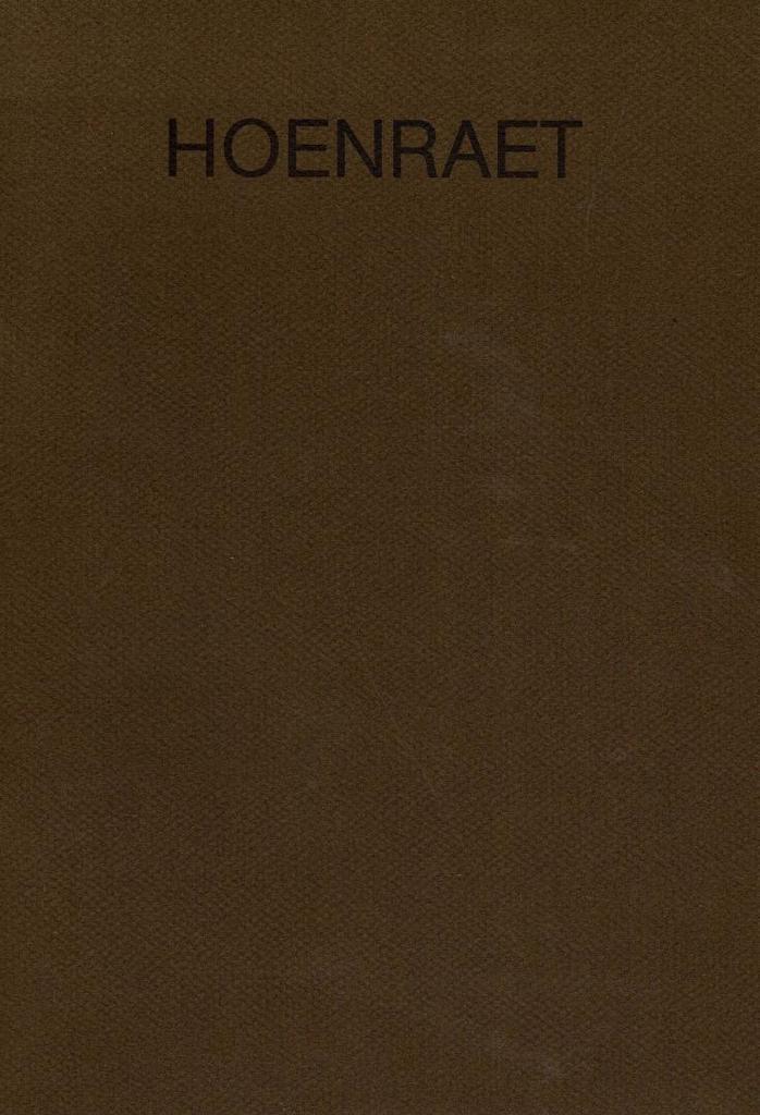 Hoenraet : materiewerken, tekeningen, drukgrafiek 1982, Boeken, Kunst en Cultuur | Beeldend, Gelezen, Ophalen of Verzenden