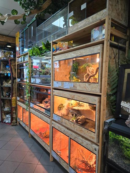 Terrariums,  voedseldieren en alle benodigdheden terraria, Dieren en Toebehoren, Reptielen en Amfibieën | Toebehoren, Zo goed als nieuw