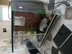 Terrarium met alle toebehoren, Ophalen, Zo goed als nieuw