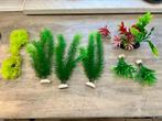 Aquarium plantjes, Gebruikt, Ophalen of Verzenden