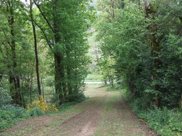 FRANCE: TRES RARE : BEAU TERRAIN CONSTRUCTIBLE TARN 81530. beschikbaar voor biedingen