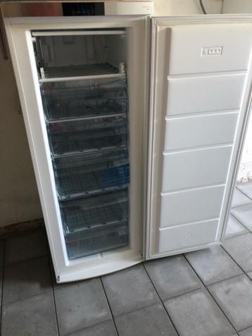 Diepvriezer 160 cm beschikbaar voor biedingen