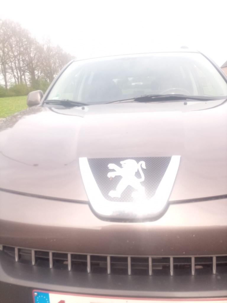 Peugeot 4007, Cuir, Achat, Système audio, 157 kW