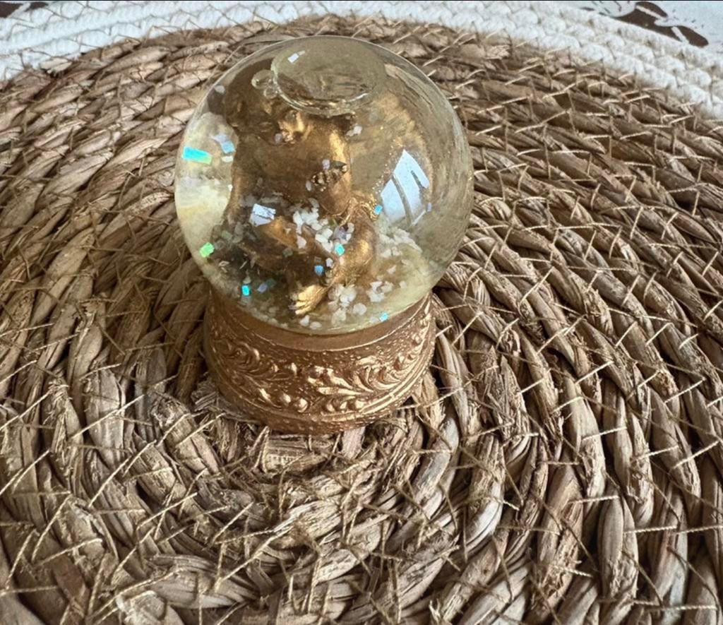 Sneeuwbol, Ophalen, Huis en Inrichting