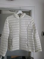 Jott zomerjas maat XL, Enlèvement, Taille 46/48 (XL) ou plus grande