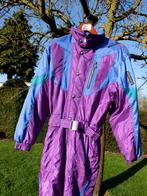 Skipak Descente, Sports & Fitness, Ski & Ski de fond, Autres marques, Comme neuf, Enlèvement, Ski