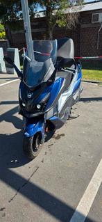 Cruisym Alfa 125 2023, Enlèvement