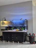 Aquarium 1505060 pomp fluval fx6 diamantrug schildpad, Enlèvement