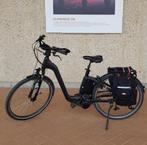 Elektrische fiets Flyer, Fietsen en Brommers, Ophalen