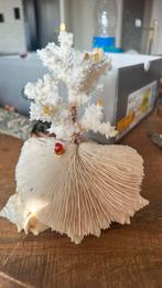 Decoratie art witte koraal, Maison & Meubles, Accessoires pour la Maison | Fleurs séchées, Enlèvement ou Envoi, Comme neuf