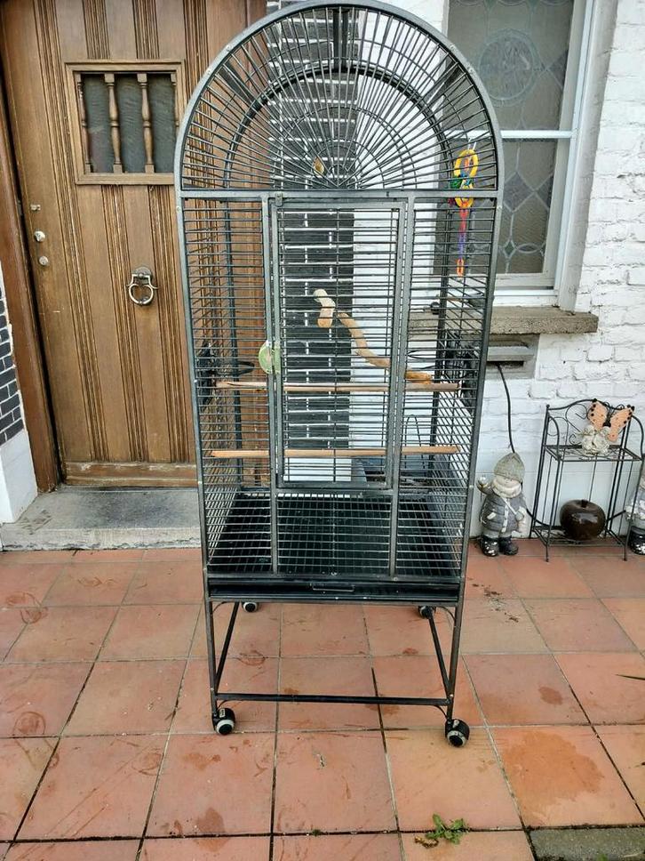 Grande cage à oiseaux/cage à perroquets sur roues, Animaux & Accessoires, Oiseaux | Cages & Volières, Cage à oiseaux, Enlèvement