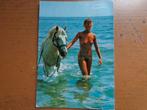 Postkaart Naakt - Liberté (dame met paard), Ophalen of Verzenden, Gelopen, Overige thema's