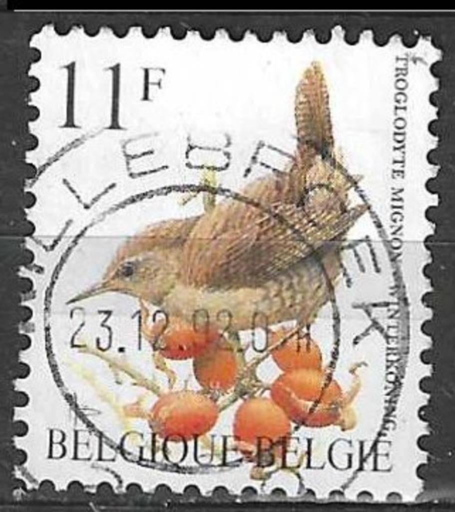 Belgie 1992 - Yvert/OBP 2449 - Buzin - Winterkoninkje (ST), Verzenden, Gestempeld, Gestempeld, Voertuigen