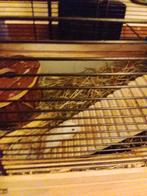 Russische dwerghamster(s), Tuin en Terras, Ophalen