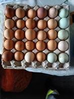 Verse vrije uitloop scharrel eieren, Enlèvement