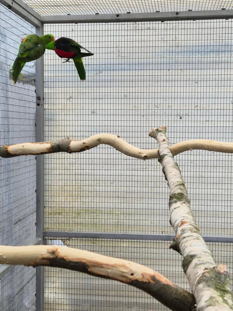 Samen in 1 lot te koop lees beschrijving, Ophalen