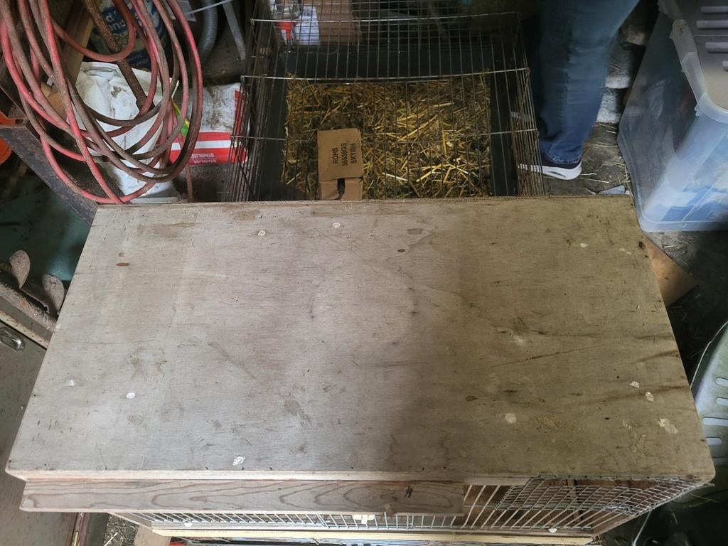 Cage d'élevage, Enlèvement, Cage