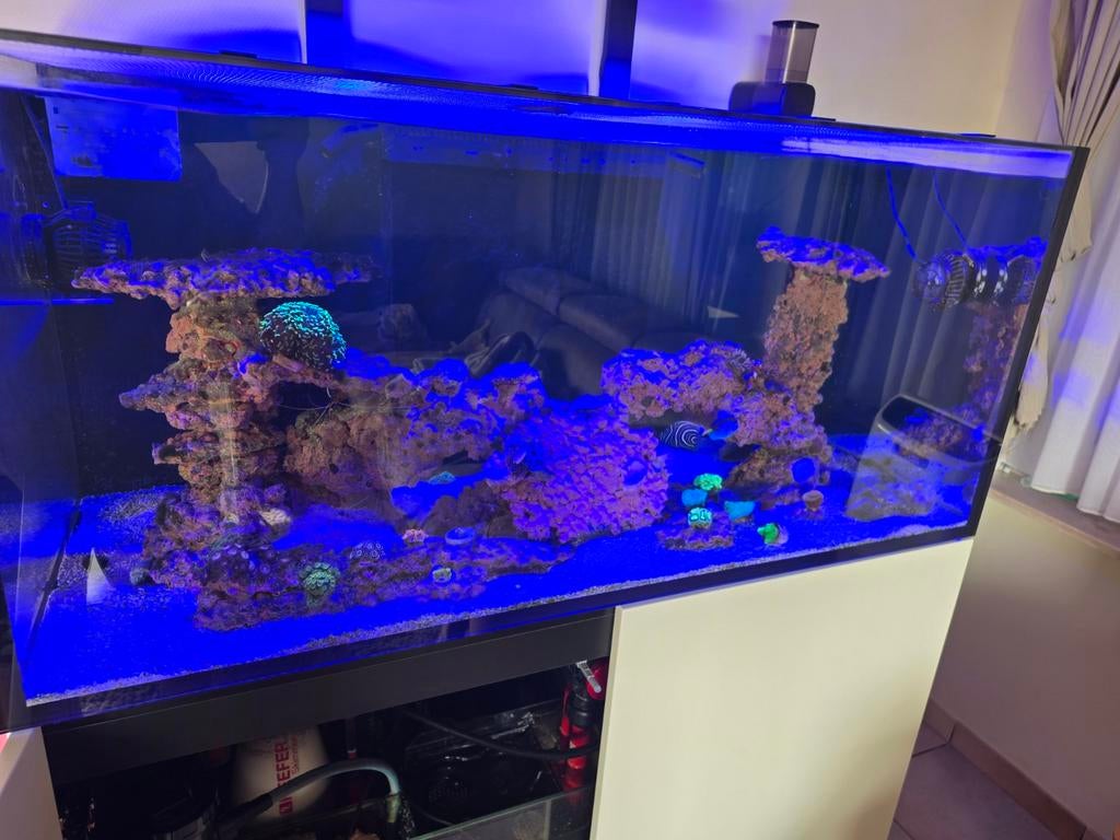 Red sea 425 xl g2, Ophalen, Aqua Medic