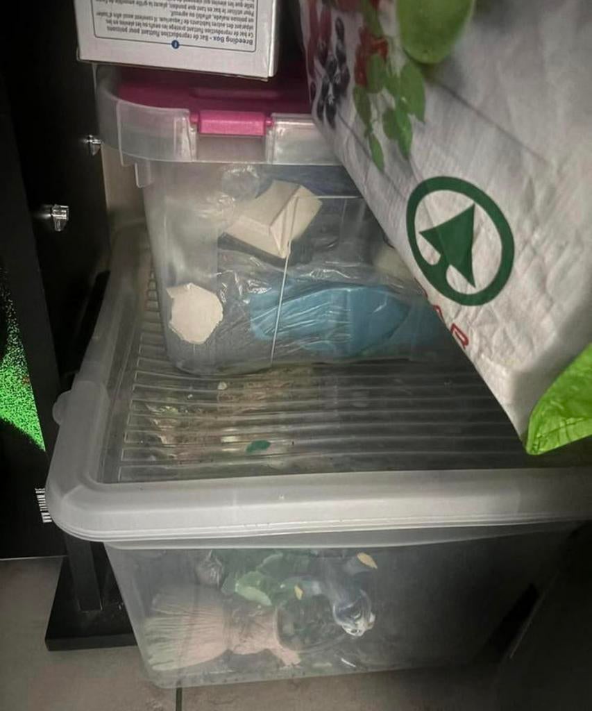 Aquarium met alles erbij, Enlèvement, Pompe, Comme neuf, Decoratie