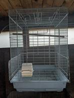 Vogelkooi, Enlèvement, Cage à oiseaux