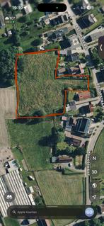 2 plekjes voor volpension, Weidegang, 2 of 3 paarden of pony's