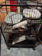 Cage chinchilla, Animaux & Accessoires, Enlèvement