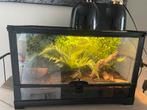 Terrarium 51 L 26 B 33 H, Enlèvement, Comme neuf