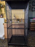 Grote vogelkooi, Dieren en Toebehoren, Ophalen