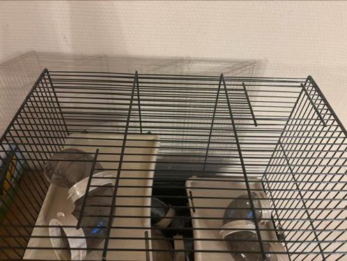 Hamster kooi met buizensysteem, Animaux & Accessoires, Rongeurs & Lapins | Cages & Clapiers, Comme neuf, Cage, Hamster, Enlèvement