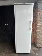 Diepvries liebherr A++ classe  no frost 304 liter 8 lades, Elektronische apparatuur, Ophalen of Verzenden, Zo goed als nieuw