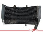 RADIATEUR CBR 954 RR Fireblade 2002-2003 (CBR900RR SC50), Motoren, Gebruikt